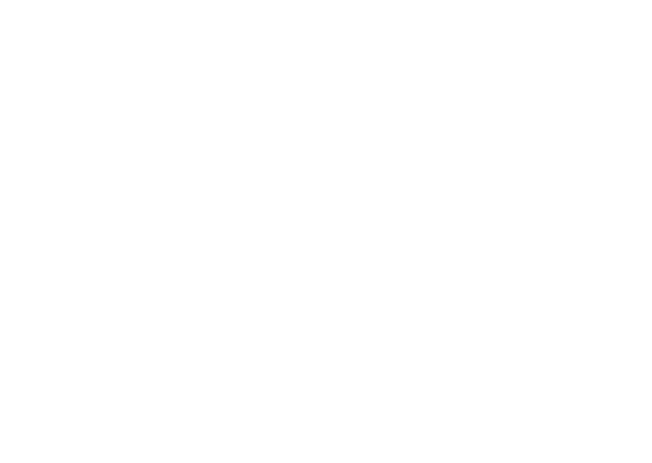 diana cruz concejal